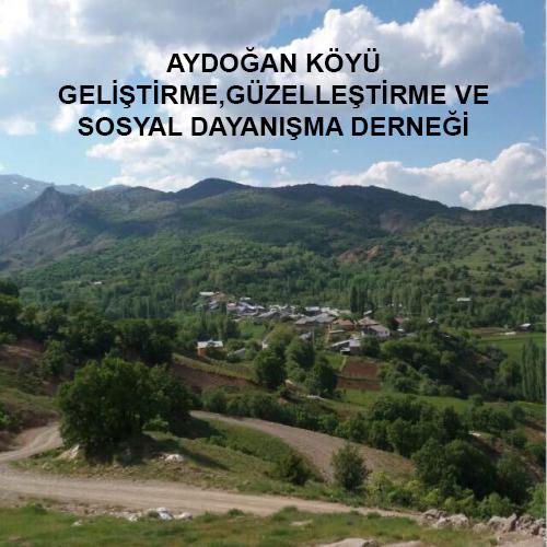 KÖY YOLU SEL NEDENİYLE KAPANDI